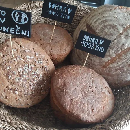 A Mlynice Appartement *