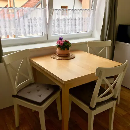 Apartment Mlynice